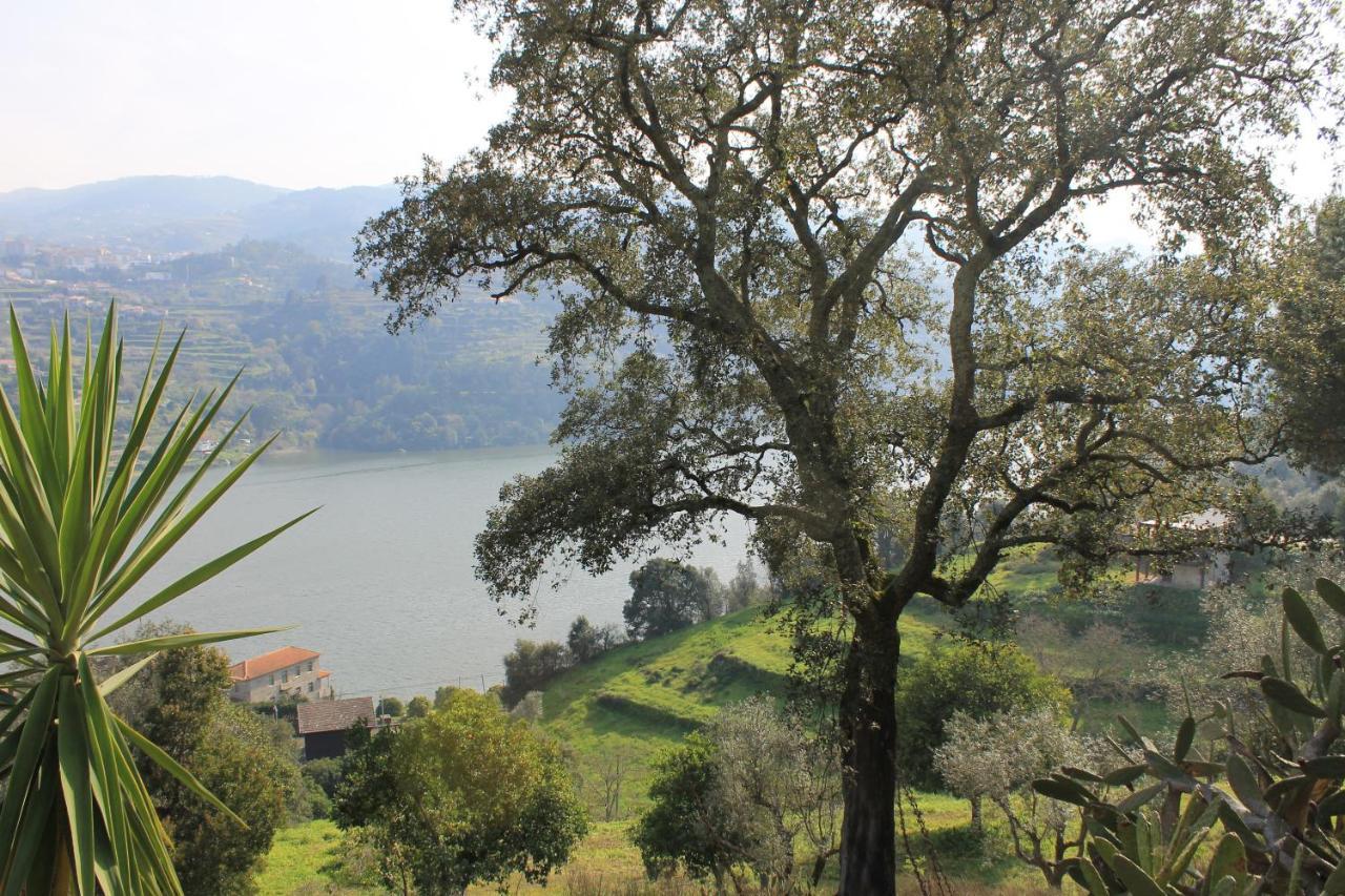 Quinta Das Quintas & Spa Baião Kültér fotó