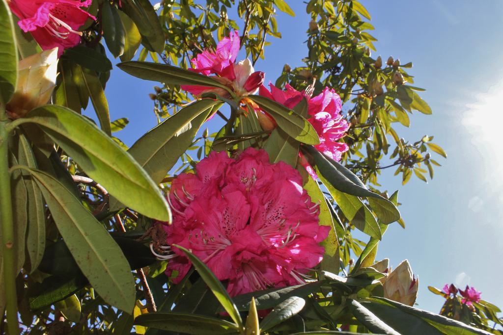Quinta Das Quintas & Spa Baião Kültér fotó