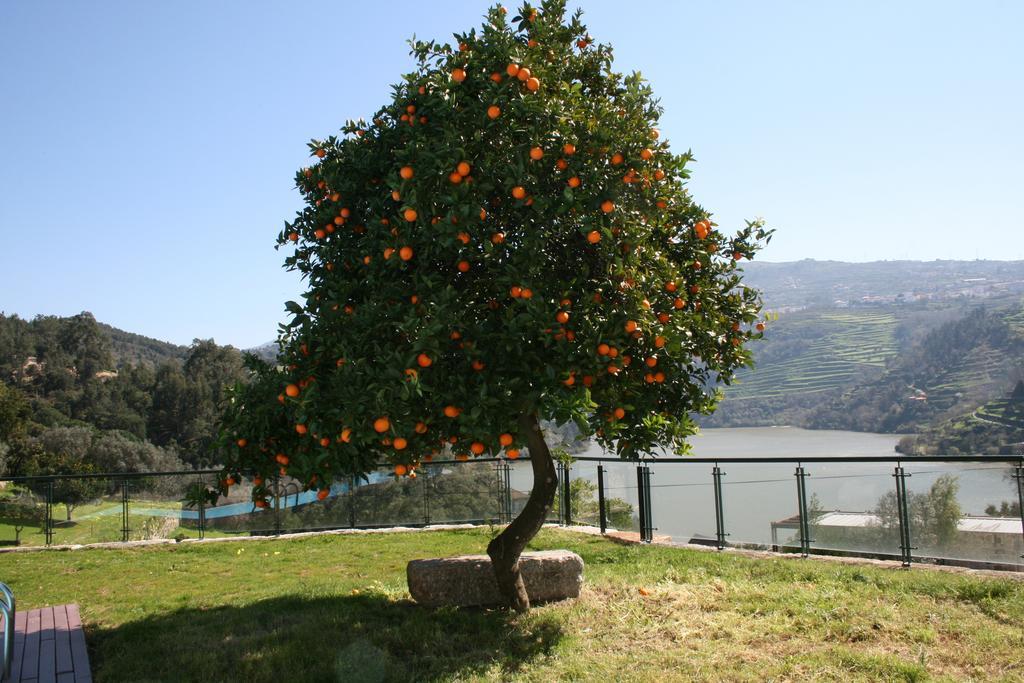 Quinta Das Quintas & Spa Baião Kültér fotó
