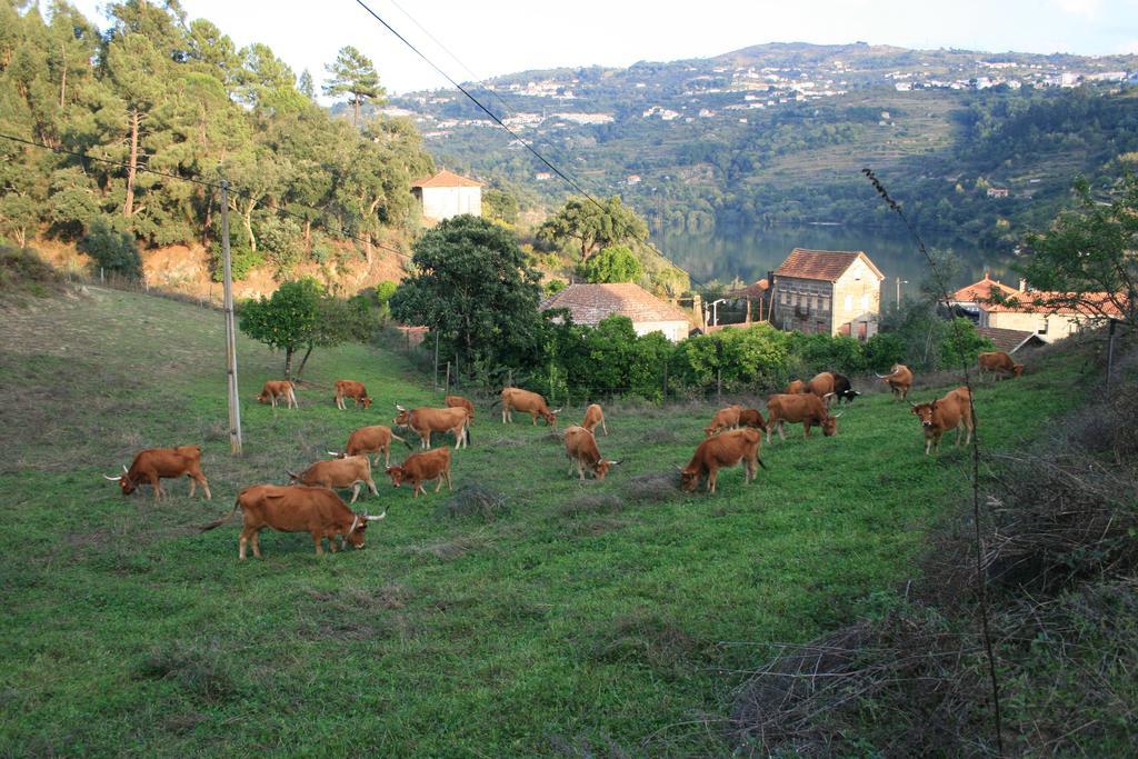 Quinta Das Quintas & Spa Baião Kültér fotó